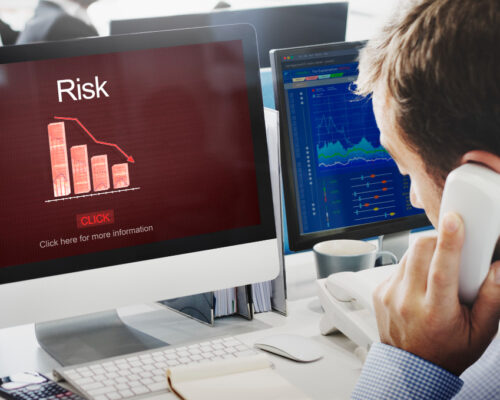 How does the investor assess the portfolio risk?